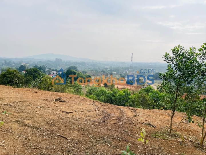 Đất Nền Lương Sơn 2000m² - View Thoáng, Sẵn Sổ Đỏ, Giá Đầu Tư!