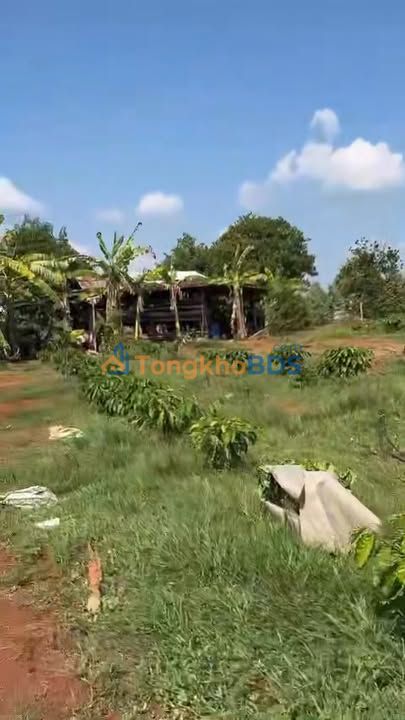 Farm 2ha view hồ thơ mộng, mặt đường bao la tại Phú Riềng, Bình Phước - Giá 5 tỷ