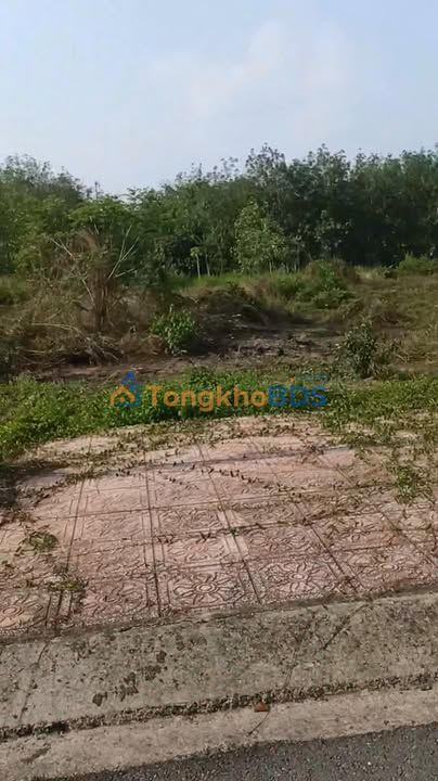 Bán Đất Tái Định Cư Phú Giáo 100m² - Giá 1 Tỷ, Chính Chủ