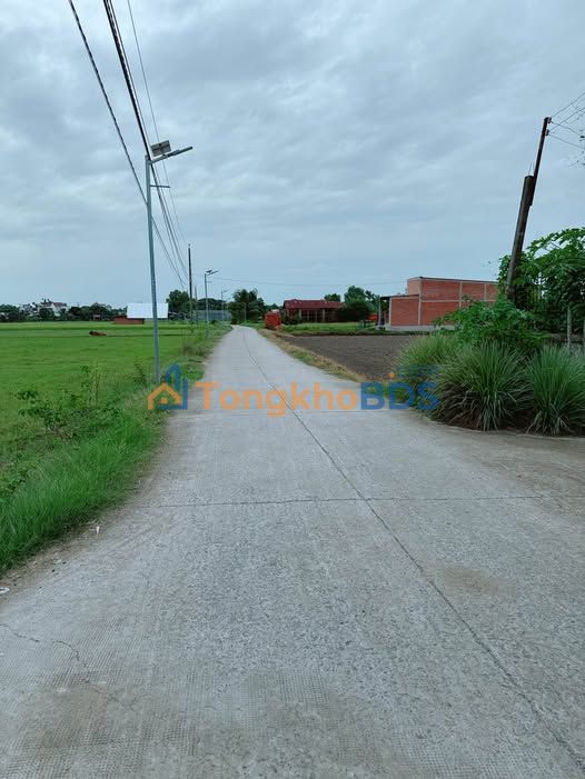 Bán Nền Đất Thổ Cư Đức Hòa Long An 115m² - Sổ Hồng Sẵn Sàng