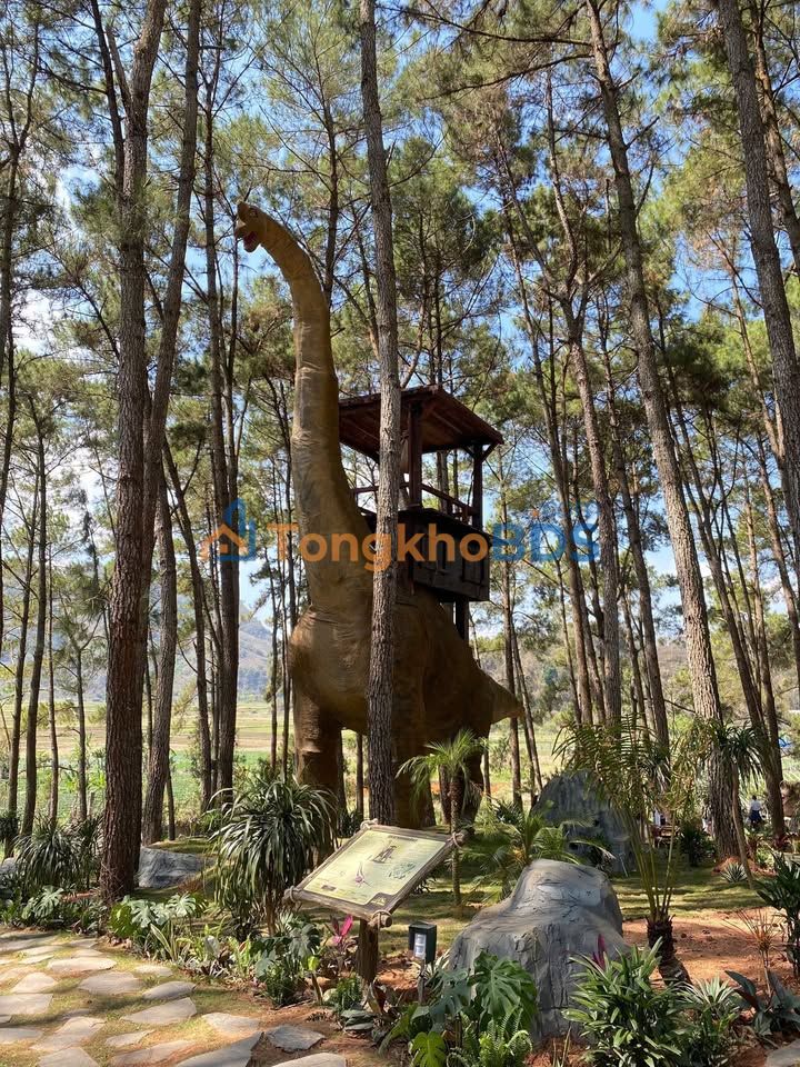 Đất nền Mộc Châu 175m² - Sổ hồng chính chủ, giá chỉ 999 triệu!