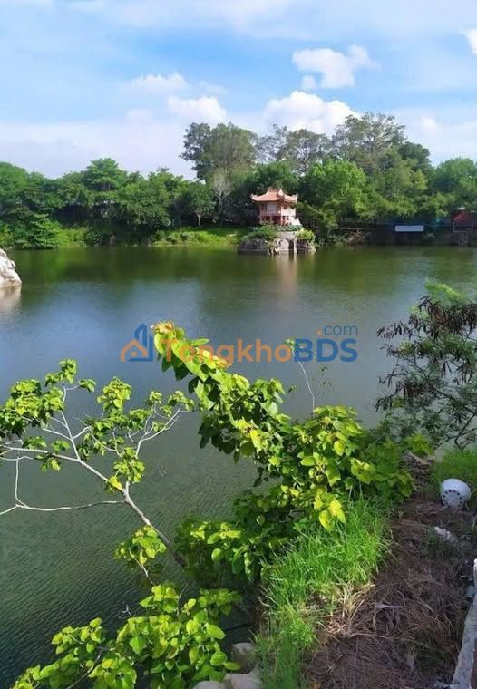 Đất nền Thoại Sơn An Giang 316m² - Vị trí đắc địa, giá đầu tư tốt