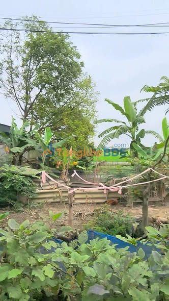 Đất Nền Kim Động, Hưng Yên 120m² - Sổ Đỏ Rõ Ràng, Giá F0 CĐT