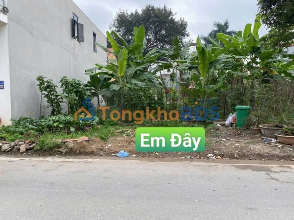 Đất Nền Khoái Châu 215m² - Sổ Đỏ Full Thổ Cư, Giá 10 Tỷ