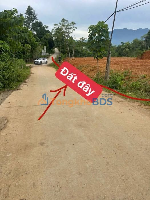 Đất Vườn 7000m² Lai Đồng, Phú Thọ - Mặt Tiền Rộng 40m, Giá 1.8 Tỷ