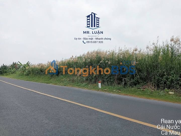 Đất Nền Mặt Tiền QL1A Cà Mau 2959m² - Kinh Doanh Đa Ngành, Giá 34.8 Tỷ