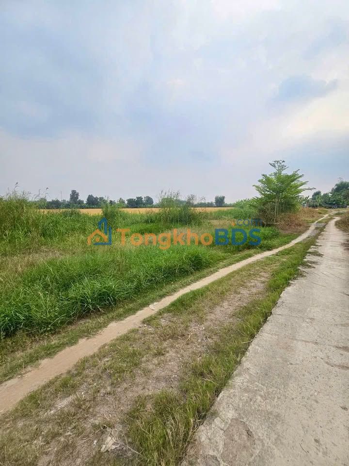 Bán Nền Thổ Cư Kênh Bờ Ngò, Rạch Giá - 90-110m² - Chỉ Từ 290 Triệu