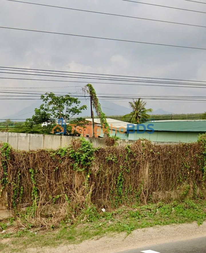 Đất Vàng 1.164m² Mặt Tiền DT781B Dương Minh Châu - Sổ Thổ Cư Sẵn