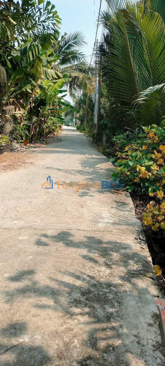 Đất thổ cư 160m² Bến Lức, Long An - Sổ đỏ, ô tô vào tận nơi