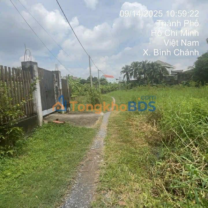 Đất vườn Đinh Đức Thiện 750m² 5 tỷ - Nghỉ dưỡng lý tưởng