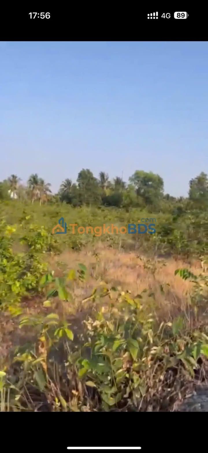 Đất Nền 5200m² Bến Lức Long An - Giá Tốt, View Kênh