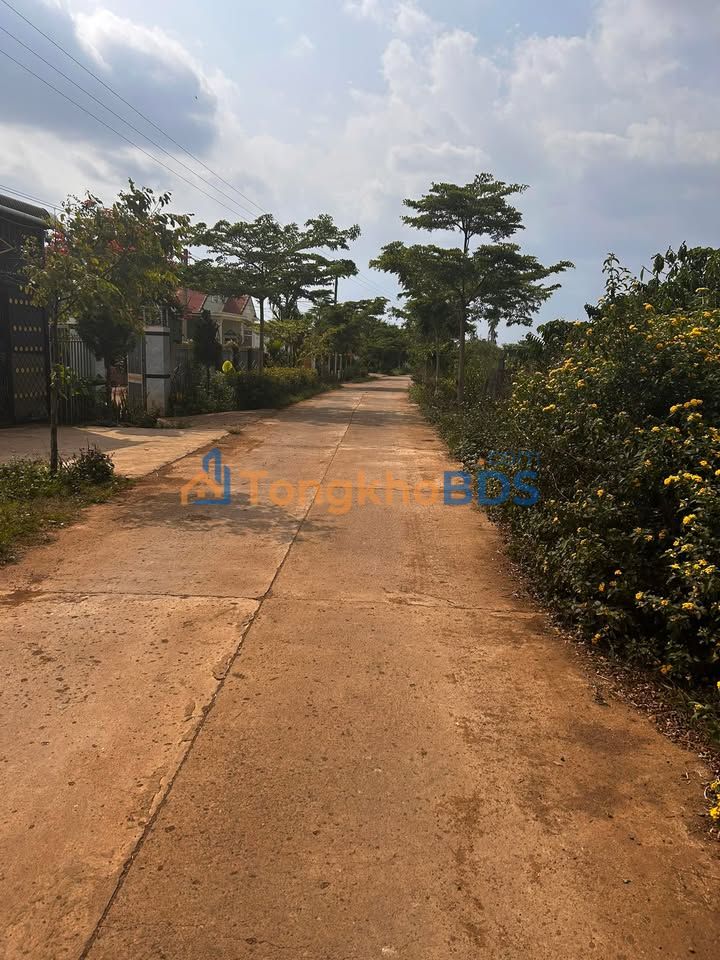 Đất Nền Đức Trọng 1000m² - Mặt Tiền Bê Tông 12m, Sổ Hồng Riêng