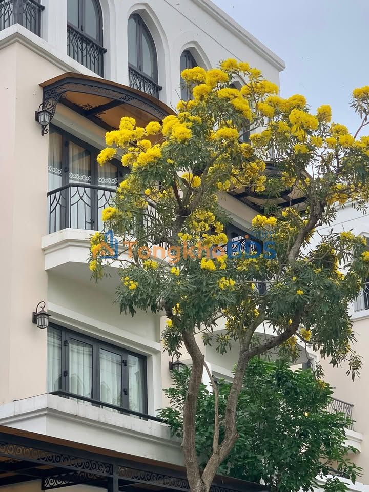 Townhouse Vinhomes Ocean Park 52m² 7.7 tỷ - Vị trí đắc địa