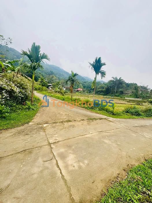 Đất nền Thôn Chăng Hà Giang 220m² 1.19 tỷ - Sổ đỏ chính chủ