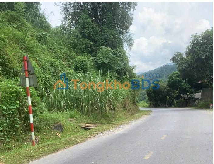 Farm Bắc Mê QL34 45.9ha 3 tỷ - Tiềm năng tăng giá dài hạn