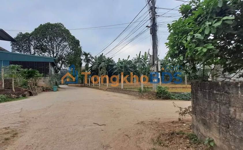 Bán Đất Vĩnh Tường 300m² Sổ Hồng Riêng - Ngõ Thông Kinh Doanh