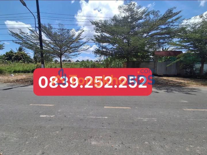 Đất Nền KĐT Hoàng Tâm 140m² - Mặt Tiền Tân Hưng 1.1 Tỷ