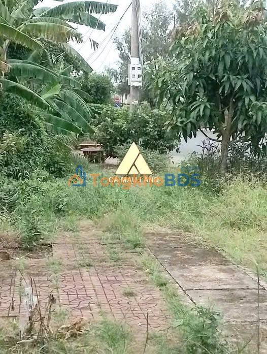 Đất nền mặt tiền Lê Đức Thọ, Hậu Giang - 101m² full thổ cư, giá 1.2 tỷ