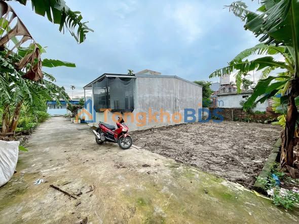 Bán đất thổ cư Cẩm Giàng 66.5m² - Sổ đỏ sẵn, ô tô vào tận nơi