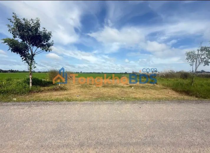 Đất Nền Châu Thành Hậu Giang - 170m² Thổ Cư 100% - Mặt Tiền Lâm Quang Ky