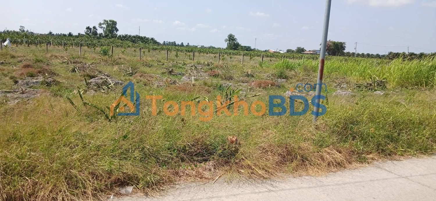 Đất thổ cư 120m² Xã Hiệp Thạnh, Châu Thành, Long An - Giá 390 Triệu