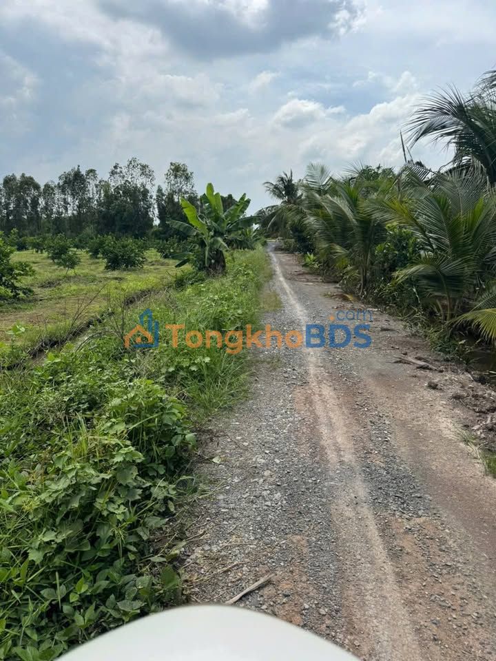 Bán Đất Vườn Long An 500m² - Sổ Hồng Sẵn, Giá 430 Triệu