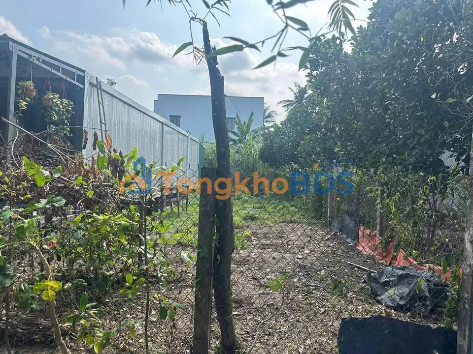 Đất thổ cư 100m² Xã Bình Tâm, Tân An - Sổ đỏ sẵn, giá 400 triệu