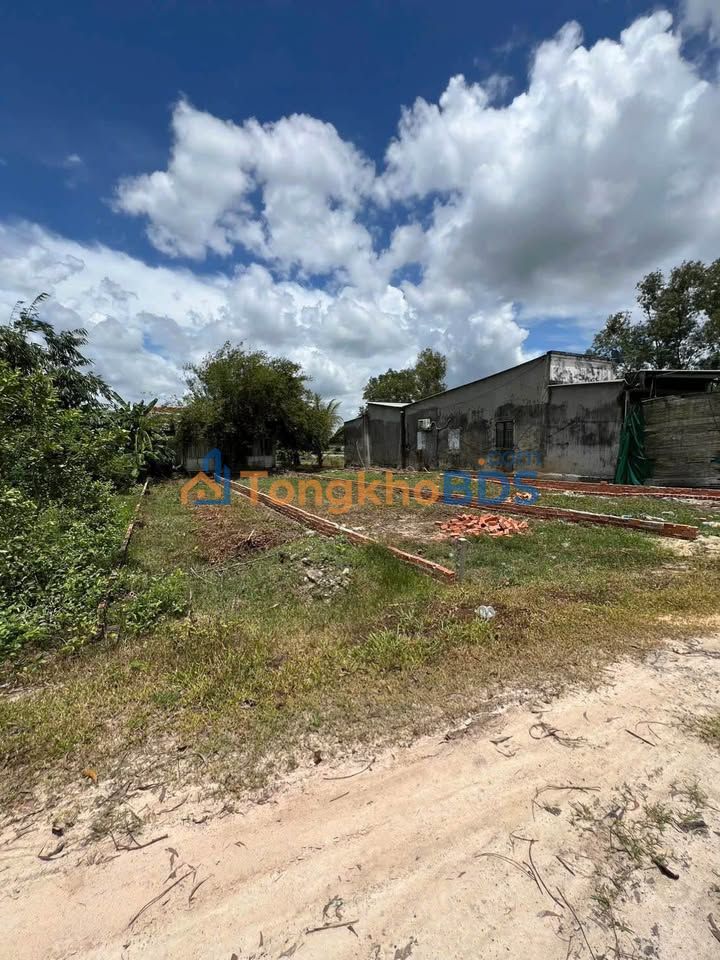 Đất nền Mỹ Hạnh Nam Đức Hòa 125m² 750 triệu - Sổ đỏ chính chủ