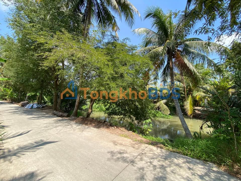 Đất Vườn Tiền Giang 555m² View Sông - Giá 850 Triệu, Sẵn Sàng Xây Dựng