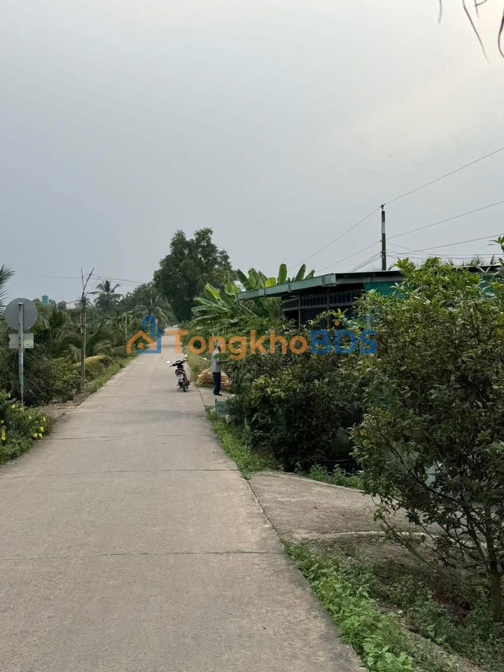 Bán Đất 280m² Full Thổ Cư Mặt Tiền Đường Đan Bến Lức - Giá 1.05 Tỷ