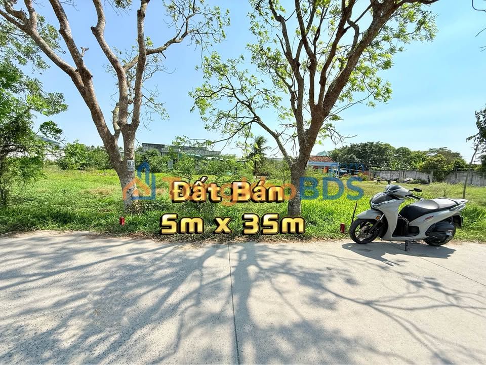 Đất Thổ Cư Bến Lức 173.6m² - Mặt Tiền Đường 5.5m, Gần Chợ Gò Đen