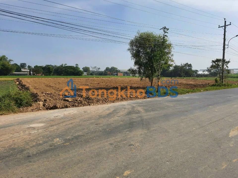 Đất Vàng 2590m² Mặt Tiền Bà Sa Gò Mối, Dương Minh Châu - Sổ Cũ, Giá Đầu Tư 38.8 Tỷ