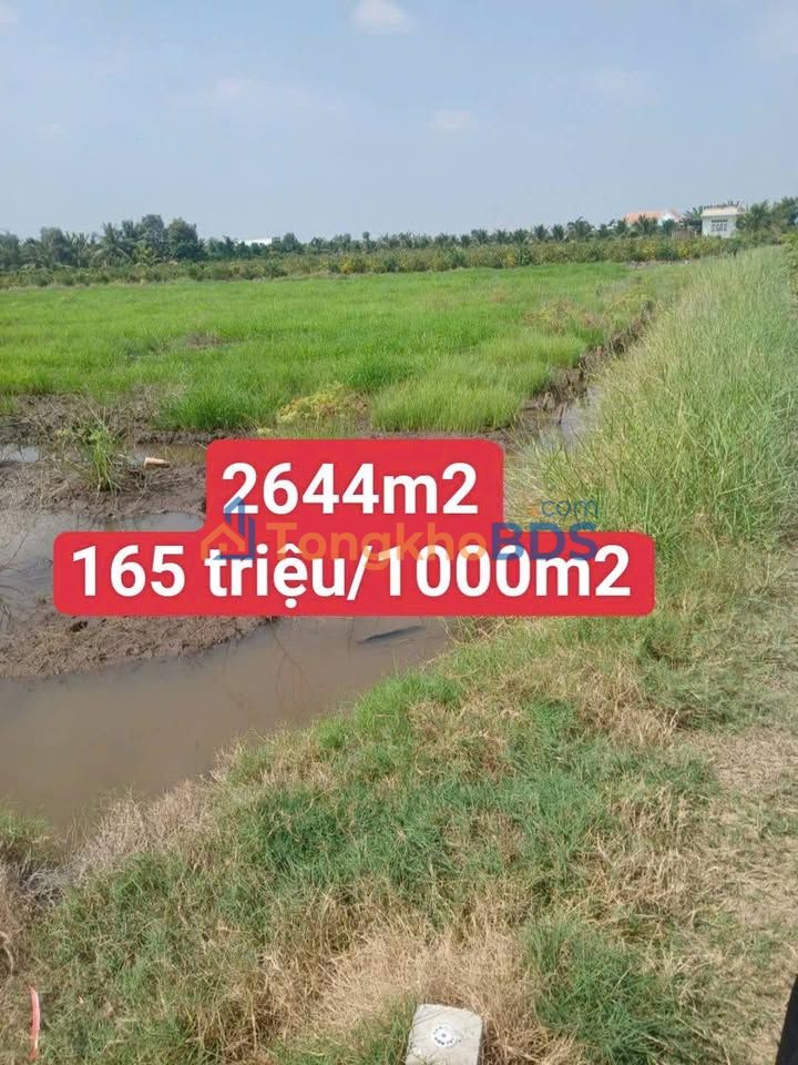 Đất nền 2644m² Mỹ Thạnh, Long An - Sổ đỏ chính chủ, giá chỉ 165 triệu