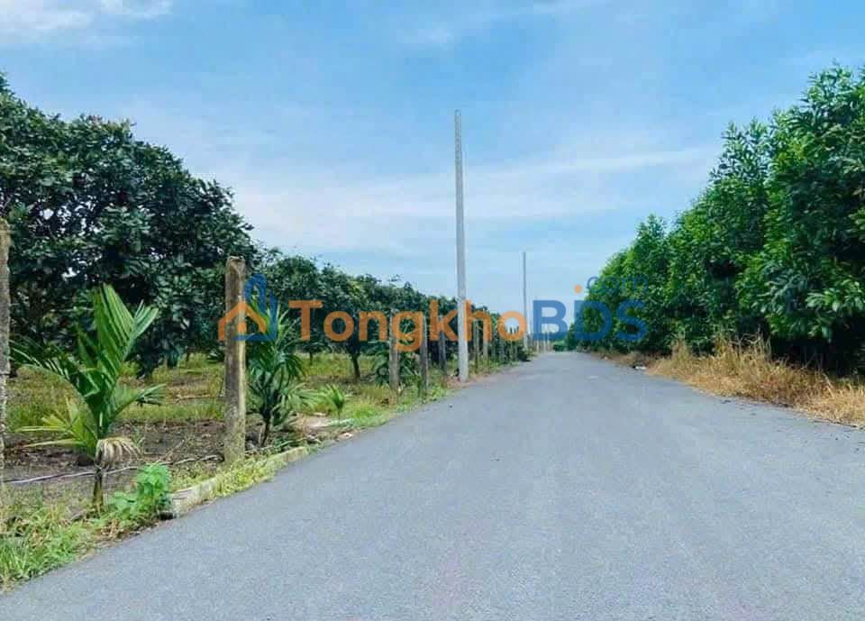 Bán Đất Vườn Bưởi Xuyên Mộc 360m² - Giá 750 Triệu, Sẵn Sàng Cắm Trại