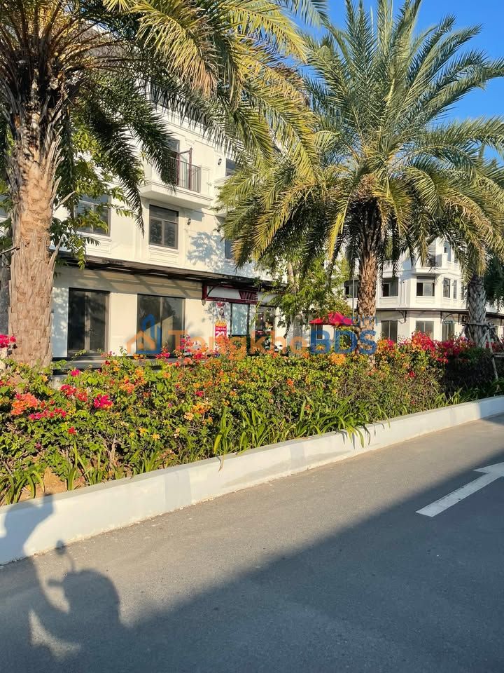 Bán Gấp Townhouse Lavida Vũng Tàu 85m² - Sổ Hồng Sẵn Sàng