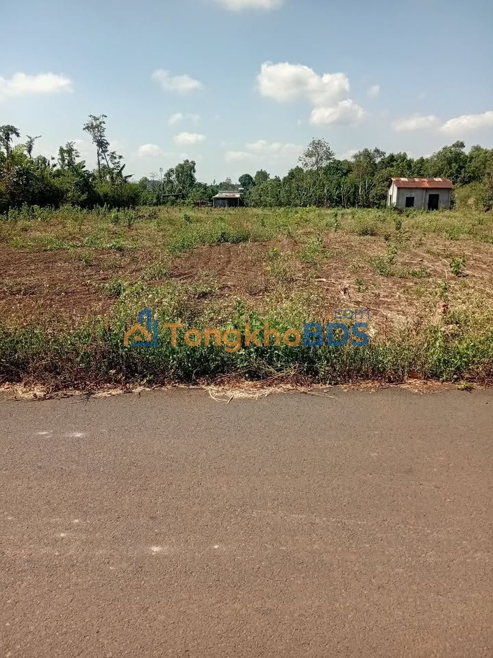 Đất Nền 4800m² Mặt Tiền Đường Nhựa Châu Đức - Giá Đầu Tư 1.25 Tỷ