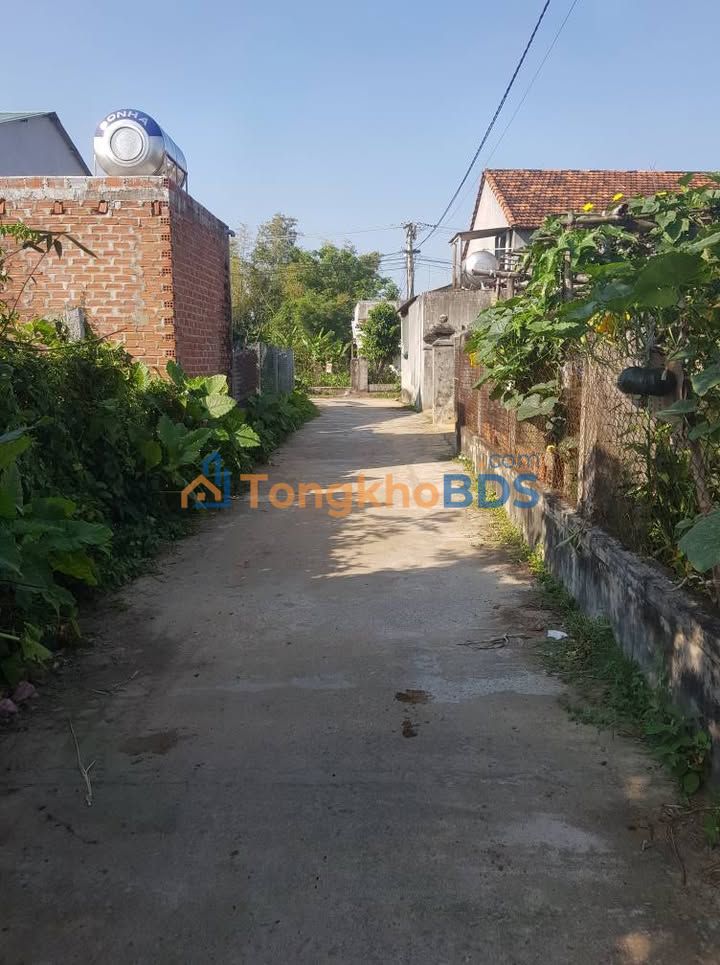 Đất nền Nhơn Mỹ An Nhơn 219m² giá 6xx - Đường ô tô