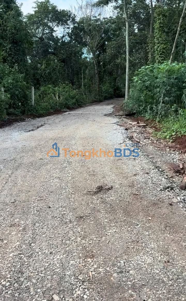 Đất nền 360m² Ấp Suối Nghệ, Châu Đức - Sổ đỏ sẵn, 950 triệu