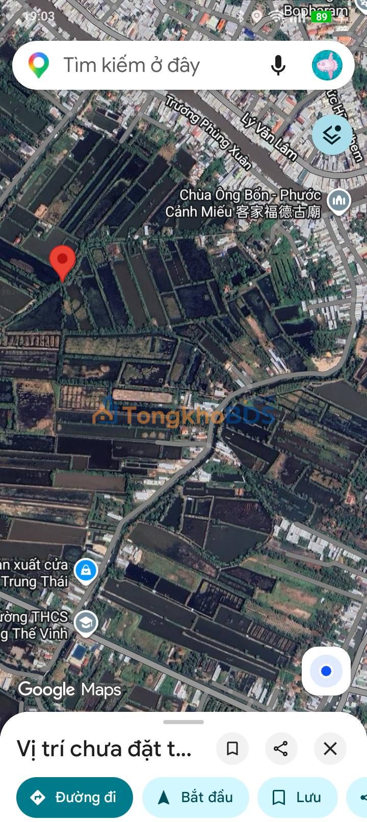 Đất Vườn Cà Mau 6000m² - Giá Tốt 4.2 Tỷ, Sẵn Sàng Làm Vườn