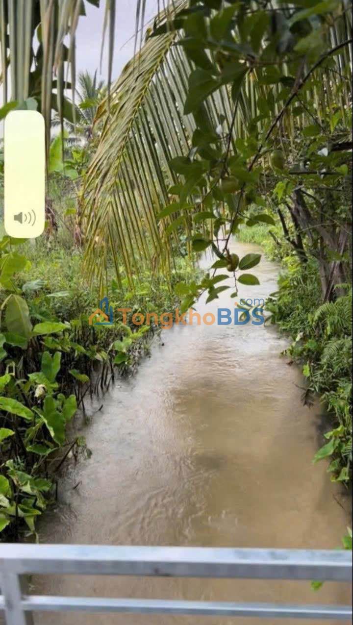 Bán Đất Vườn 7400m² Bình Thuận - View Đồi, Suối Mát, Gần Sân Bay Phan Thiết