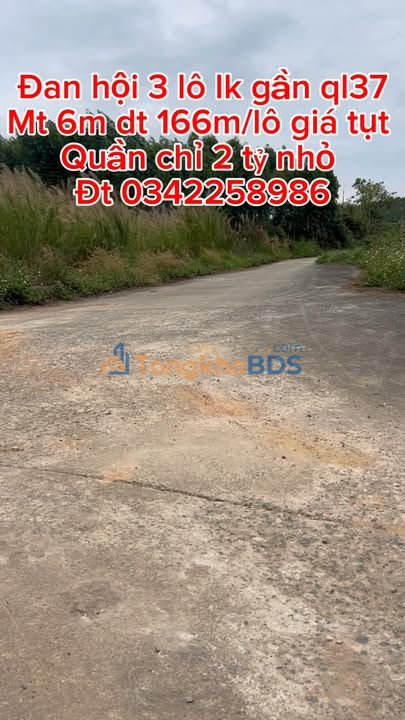 Đất nền Đan Hội Lục Nam 166m² thỏa thuận - Đường ô tô