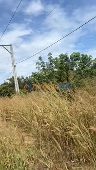 Đất Bàu Bàng DH611 1.950m² 5 tỷ - Tiềm năng tăng giá