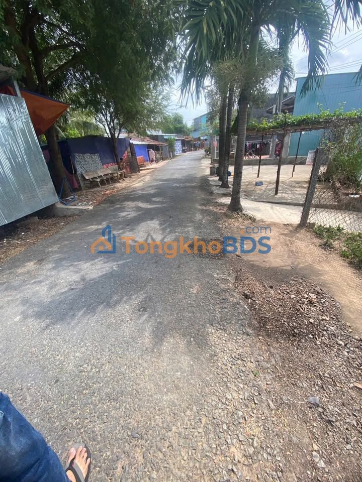 Bán Đất Nền Cao Lãnh 116m² - Đường Nhựa Bờ Nam Rạch Cái Sâu, Sổ Đỏ Thổ Cư