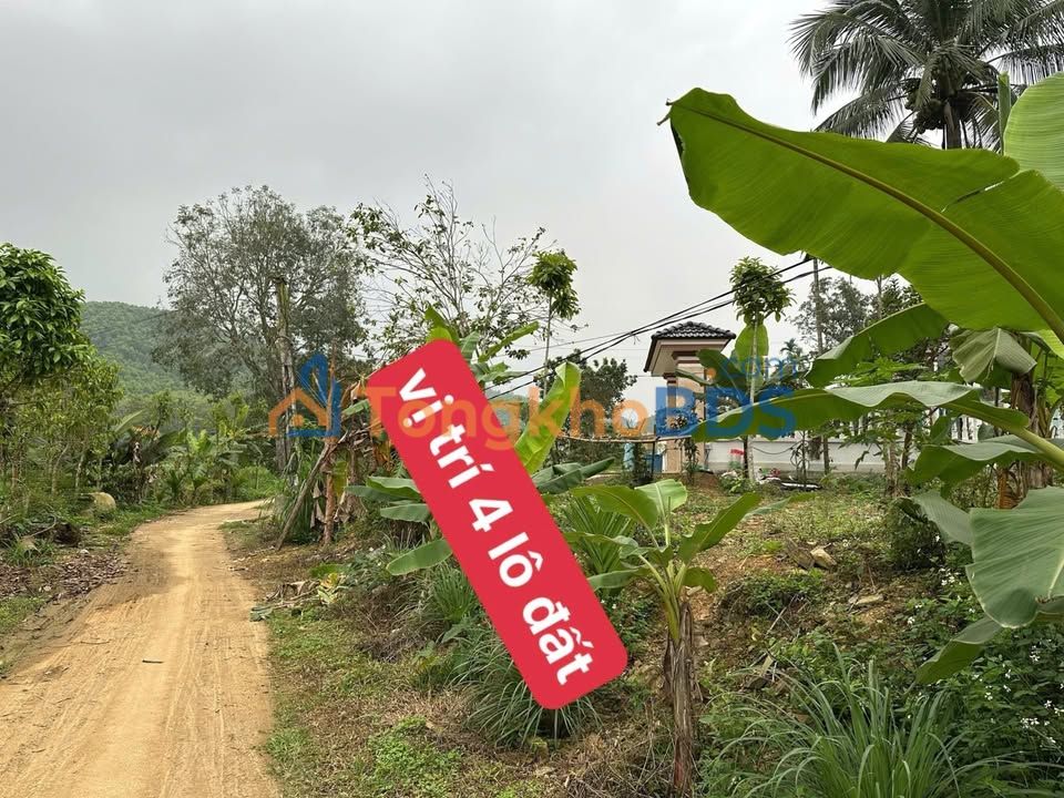 Đất nền Thọ Hải Thọ Xuân 150m² 200 triệu - Sổ đỏ chính chủ