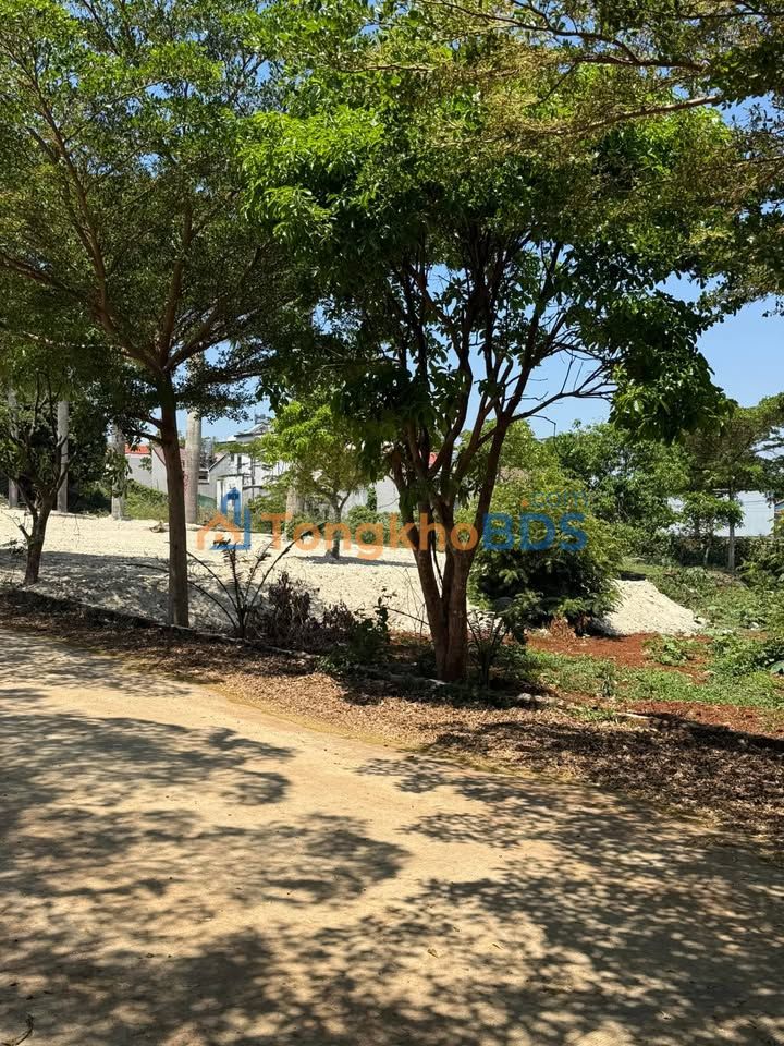 Bán Gấp 3 Lô Đất Thổ Cư Him Lam, Đắk Lắk - 1.18 Tỷ/Lô