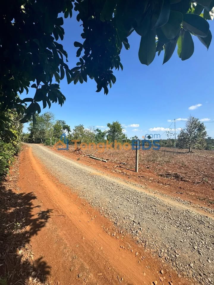 Bán Đất Vườn 1400m² Phú Xuân Krông Năng - Sổ Đỏ Thổ Cư, Đường Oto