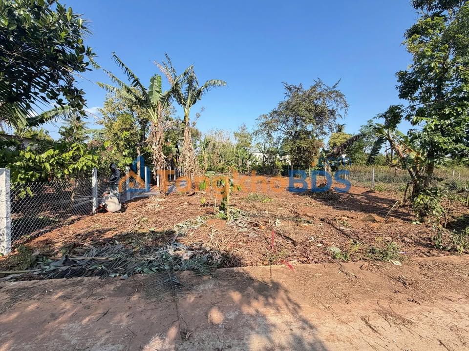 Đất nền KB1 Tân An, Đắk Lắk - 175m² Thổ cư, Giá chỉ 1.6 tỷ/lô