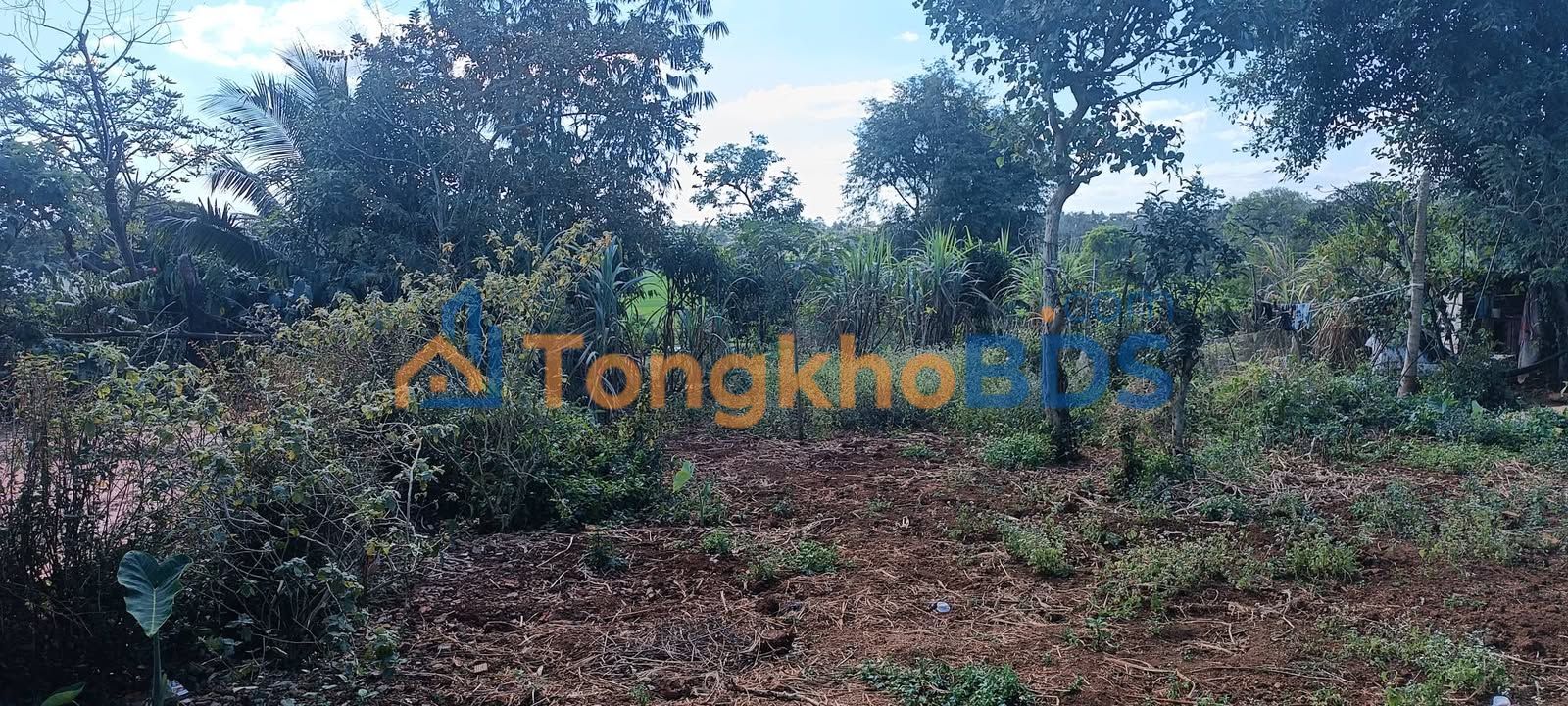 Đất Ngô Quyền Buôn Ma Thuột 425m² 55,25 tỷ - Đường ô tô lớn