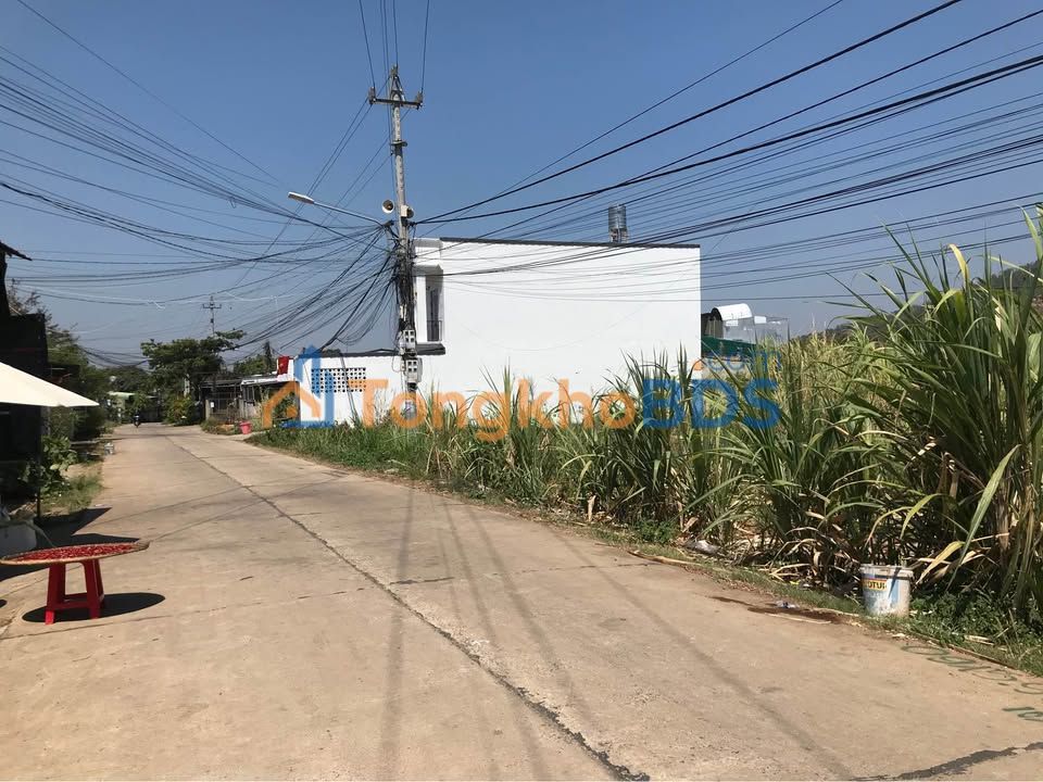 Bán Đất Mặt Tiền Triệu Quang Phục, BMT - 115m² Thổ Cư, Giá 1.45 Tỷ/Lô