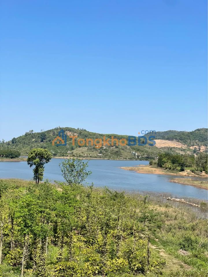 Bán Gấp Farm View Hồ Draybhang 2.4ha - Mặt Tiền Tỉnh Lộ 10, Đắk Lắk